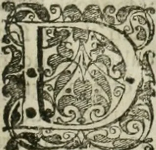 An illustration from Wereld spiegel waer in vertoontword de beschrÿvinge der kÿken staten ..., 1621, leaf 8
