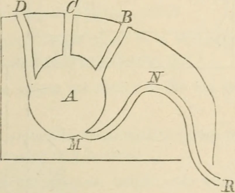 An illustration from Elementary hydrostatics, 1879, leaf 82
