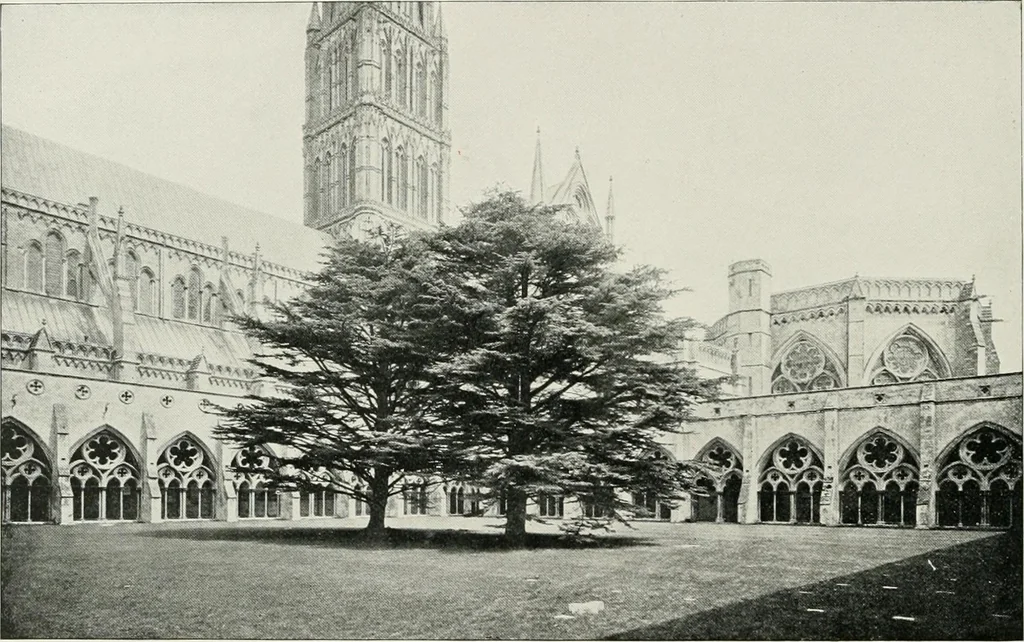An illustration from Westminster abbey and the cathedrals of England, 1895, leaf 207