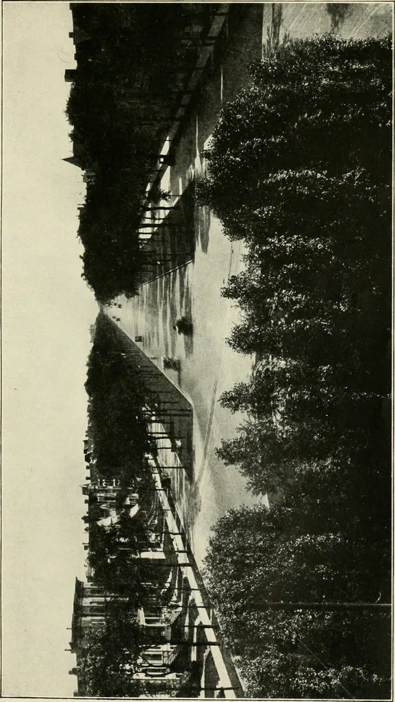 An illustration from What of the city? America's greatest issue--city planning, what it is and how to go about it to achieve success, 1919, leaf 268
