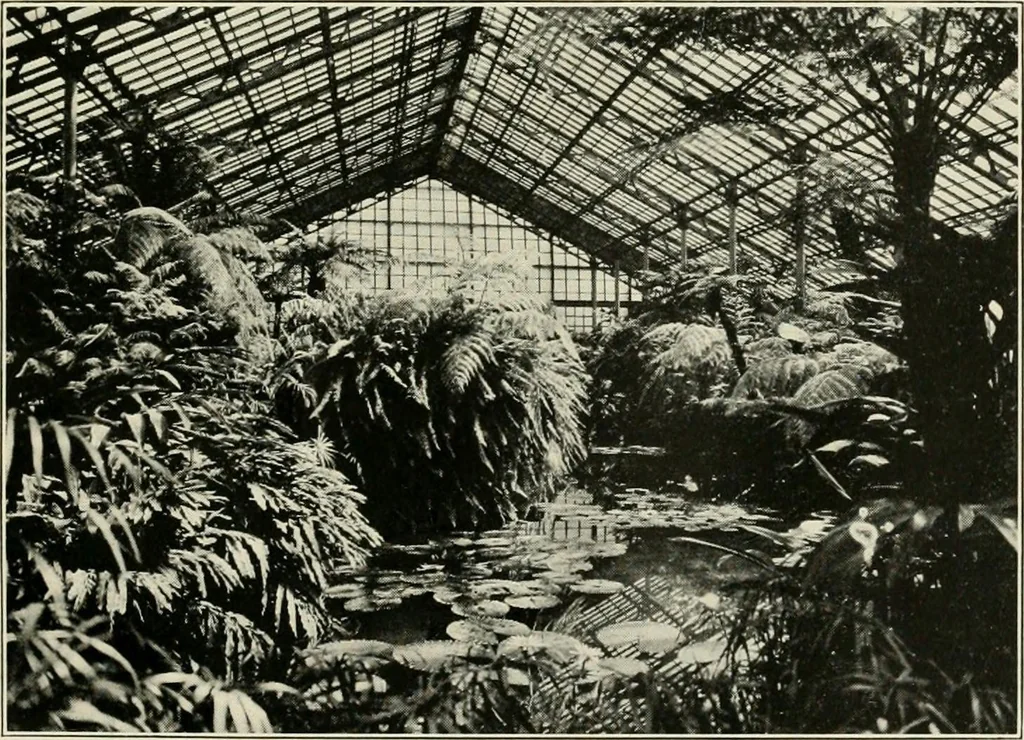 An illustration from What of the city? America's greatest issue--city planning, what it is and how to go about it to achieve success, 1919, leaf 326