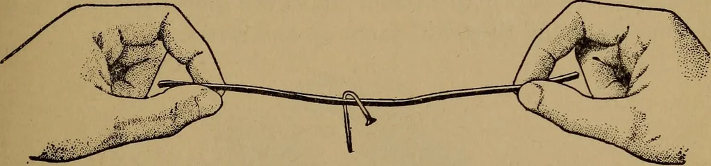 An illustration from What shall we do now? Five hundred games and pastimes:, 1907, leaf 144
