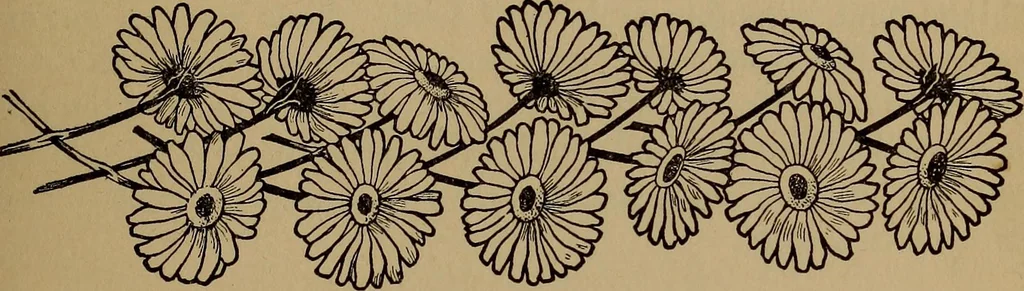 An illustration from What shall we do now? Five hundred games and pastimes:, 1907, leaf 156
