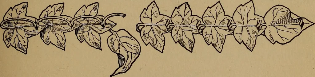 An illustration from What shall we do now? Five hundred games and pastimes:, 1907, leaf 156