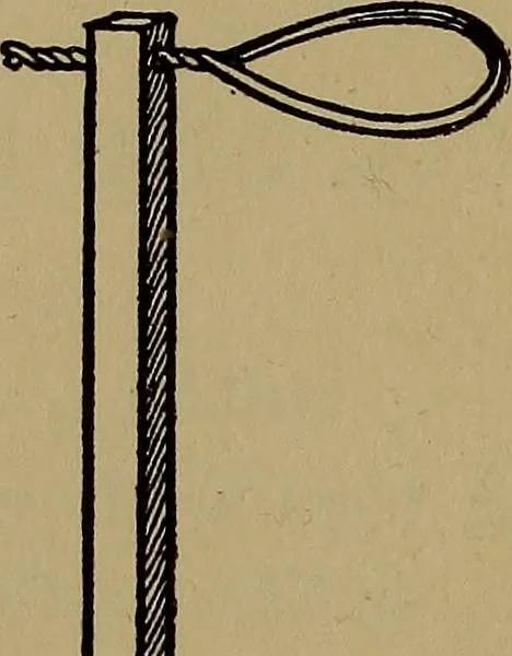 An illustration from What shall we do now? Five hundred games and pastimes:, 1907, leaf 211