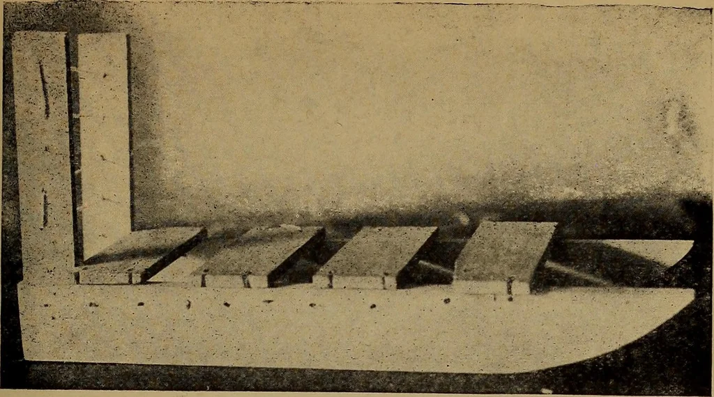 An illustration from What shall we do now? Five hundred games and pastimes:, 1907, leaf 298