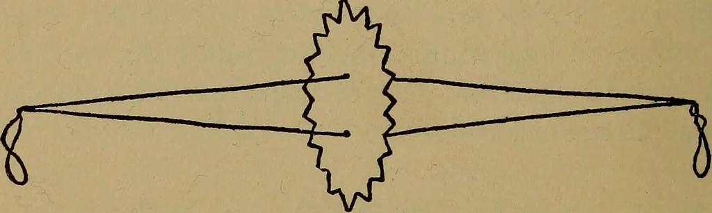 An illustration from What shall we do now? Five hundred games and pastimes:, 1907, leaf 333