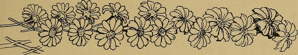 An illustration from What shall we do now? A book of suggestions for children's games and employments;, 1904, leaf 118