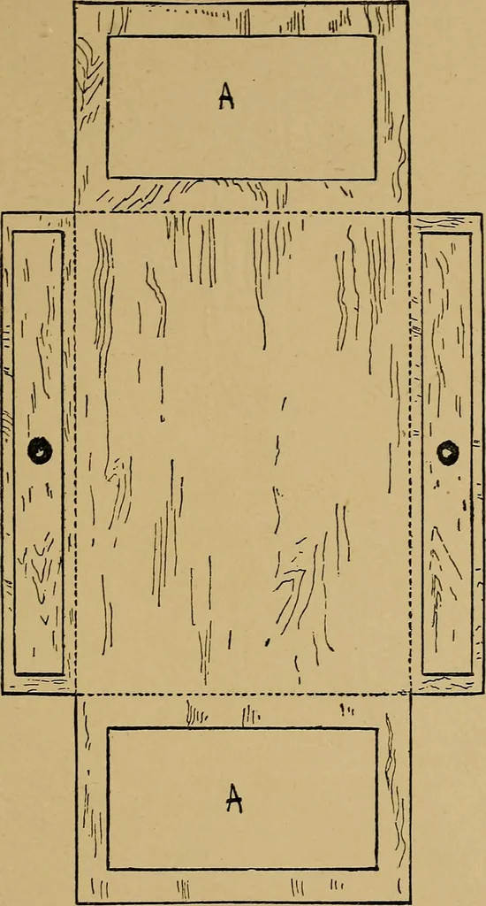 An illustration from What shall we do now? A book of suggestions for children's games and employments;, 1904, leaf 216