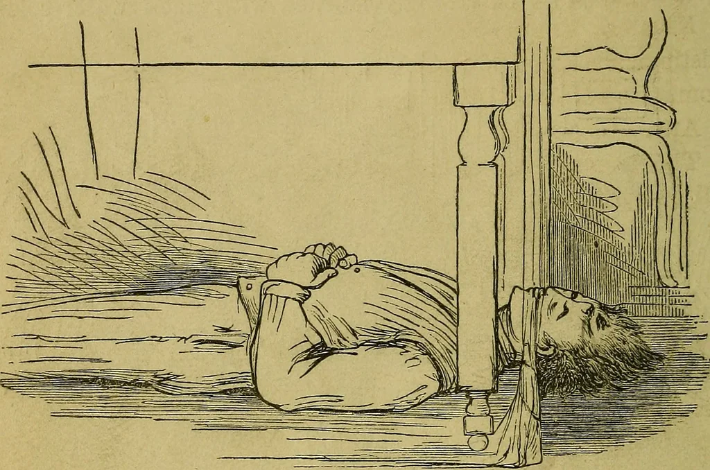 An illustration from What shall we do to-night? or, Social amusements for evening parties. Furnishing complete and varied programmes for twenty-six entertainments, 1873, leaf 135