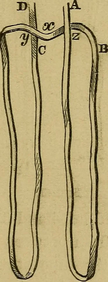 An illustration from What shall we do to-night? or, Social amusements for evening parties. Furnishing complete and varied programmes for twenty-six entertainments, 1873, leaf 156