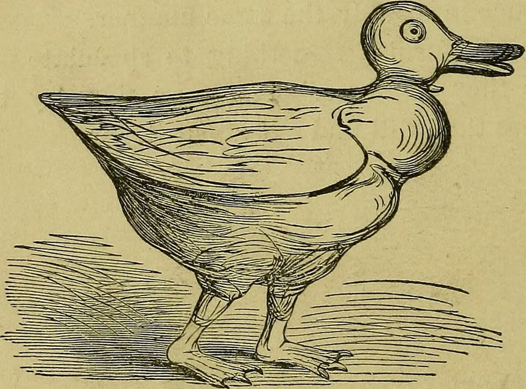 An illustration from What shall we do to-night? or, Social amusements for evening parties. Furnishing complete and varied programmes for twenty-six entertainments, 1873, leaf 161