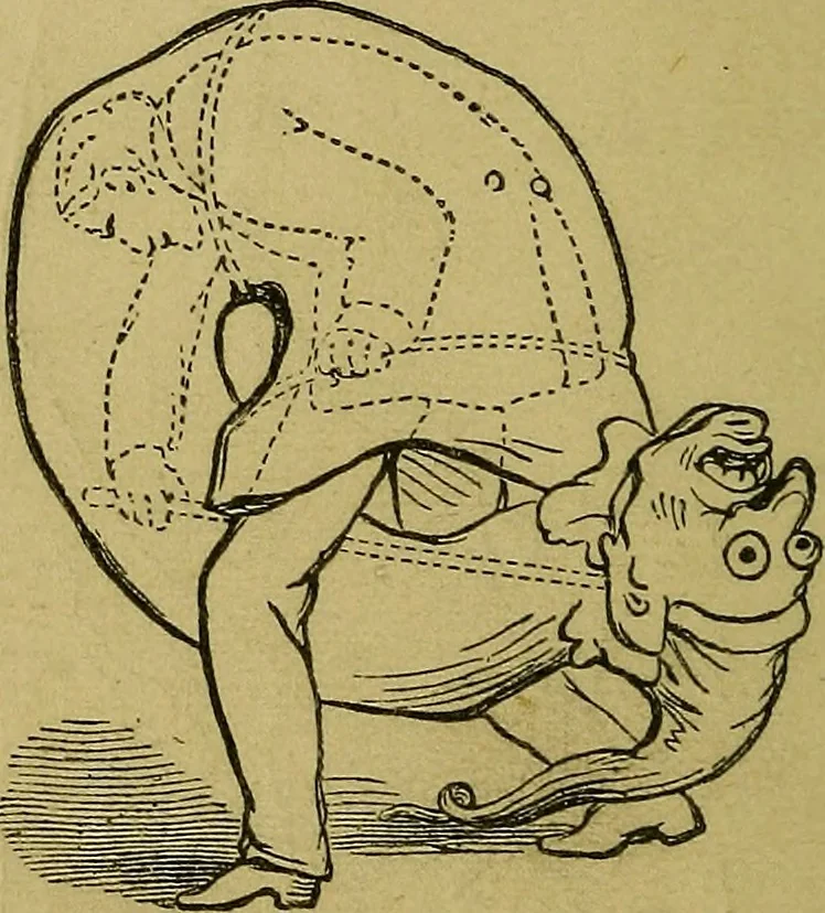 An illustration from What shall we do to-night? or, Social amusements for evening parties. Furnishing complete and varied programmes for twenty-six entertainments, 1873, leaf 39