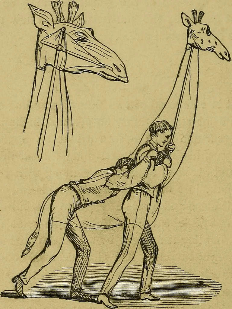An illustration from What shall we do to-night? or, Social amusements for evening parties. Furnishing complete and varied programmes for twenty-six entertainments, 1873, leaf 71