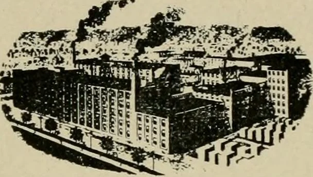 An illustration from What they say about Sanitas modern wall covering, 1919, leaf 17