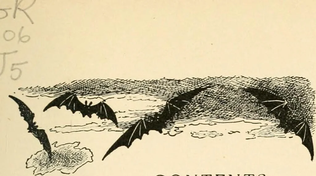 An illustration from What they say in New England; a book of signs, sayings, and superstitions, 1896, leaf 12