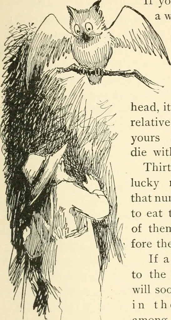 An illustration from What they say in New England; a book of signs, sayings, and superstitions, 1896, leaf 120