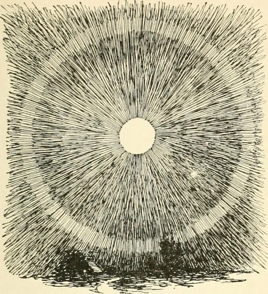 An illustration from What they say in New England; a book of signs, sayings, and superstitions, 1896, leaf 150