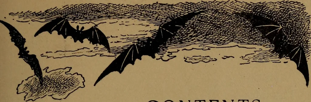 An illustration from What they say in New England; a book of signs, sayings, and superstitions, 1896, leaf 10