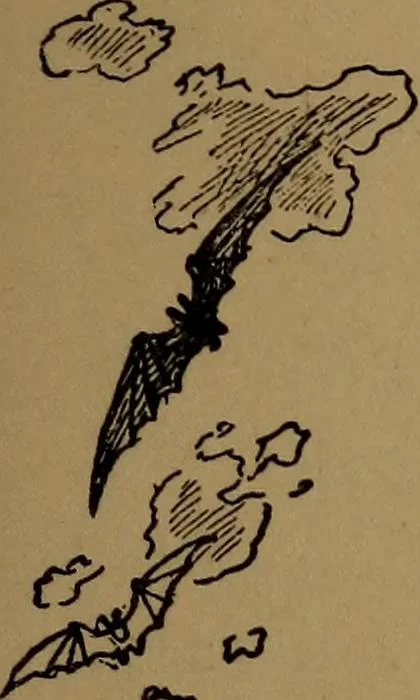 An illustration from What they say in New England; a book of signs, sayings, and superstitions, 1896, leaf 10