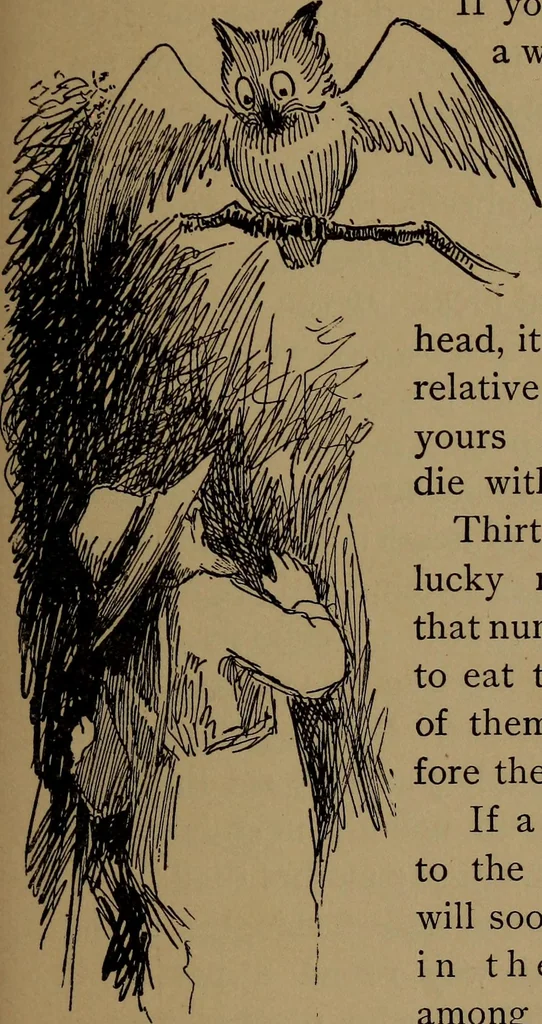 An illustration from What they say in New England; a book of signs, sayings, and superstitions, 1896, leaf 120