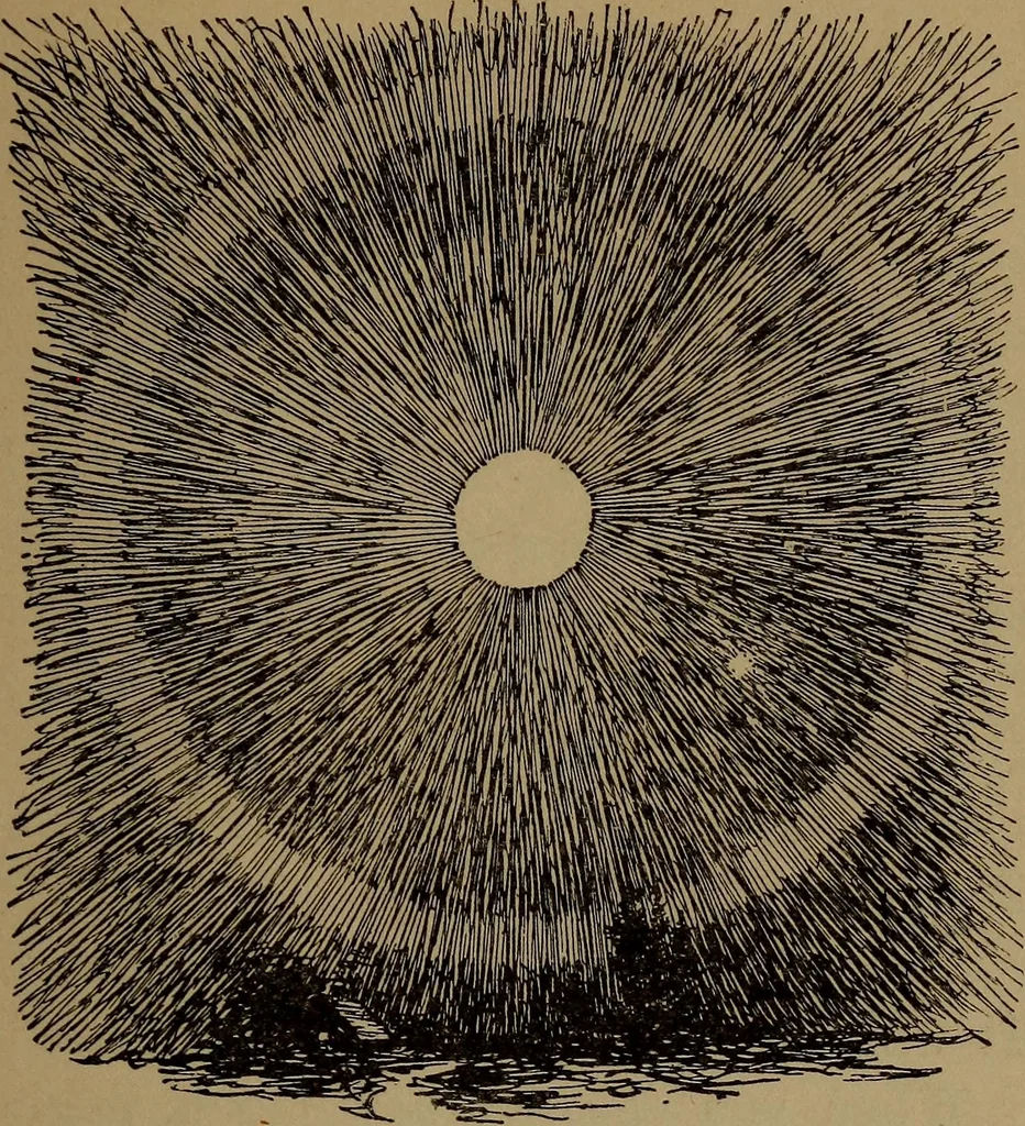 An illustration from What they say in New England; a book of signs, sayings, and superstitions, 1896, leaf 148