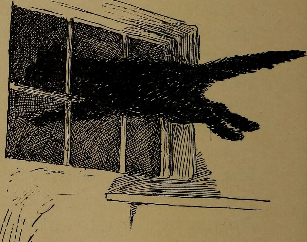 An illustration from What they say in New England; a book of signs, sayings, and superstitions, 1896, leaf 249