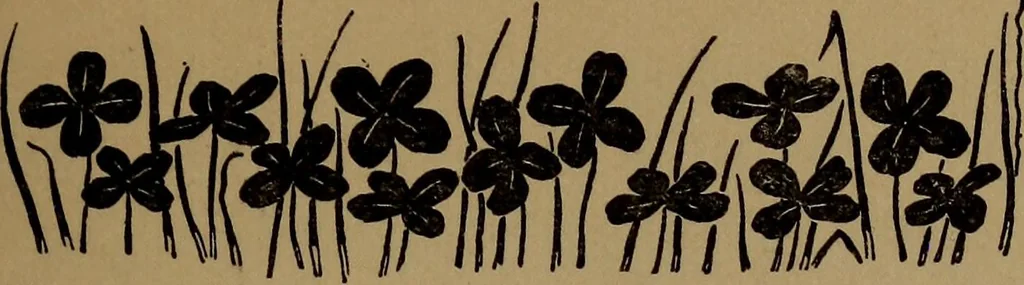 An illustration from What they say in New England; a book of signs, sayings, and superstitions, 1896, leaf 48