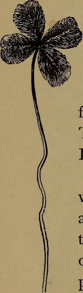 An illustration from What they say in New England; a book of signs, sayings, and superstitions, 1896, leaf 77