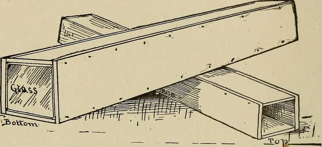 An illustration from What to do and how to do it; the American boys handy book, 1920, leaf 113