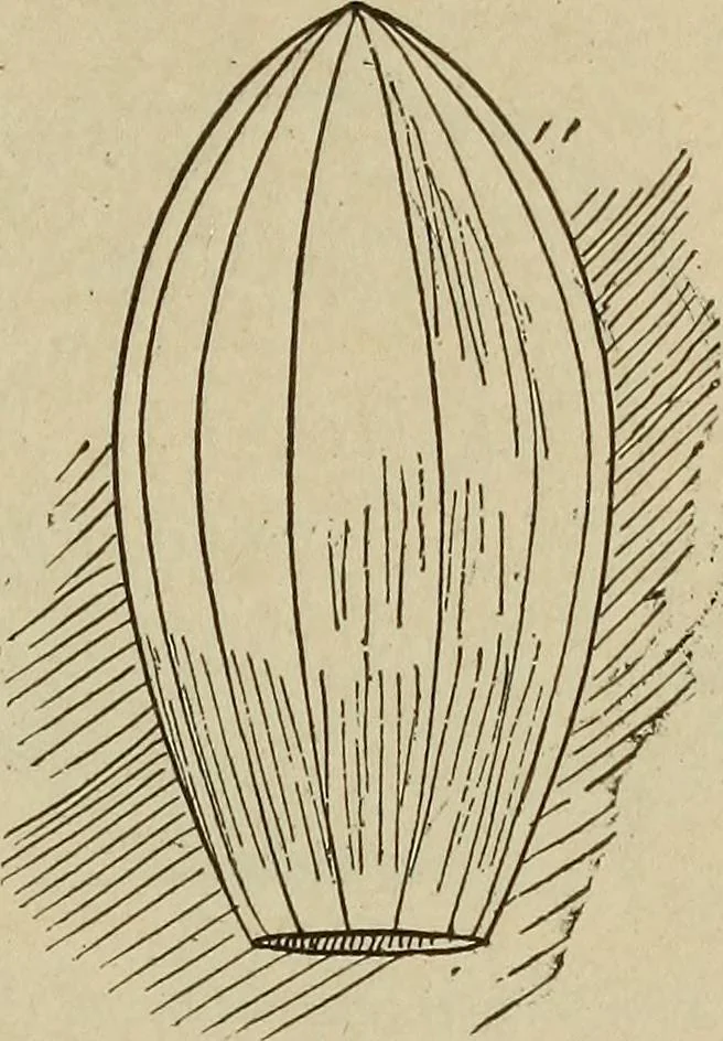 An illustration from What to do and how to do it; the American boys handy book, 1920, leaf 166