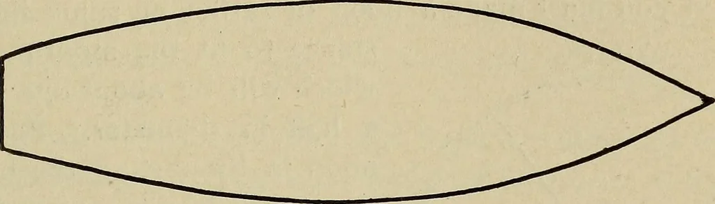 An illustration from What to do and how to do it; the American boys handy book, 1920, leaf 168
