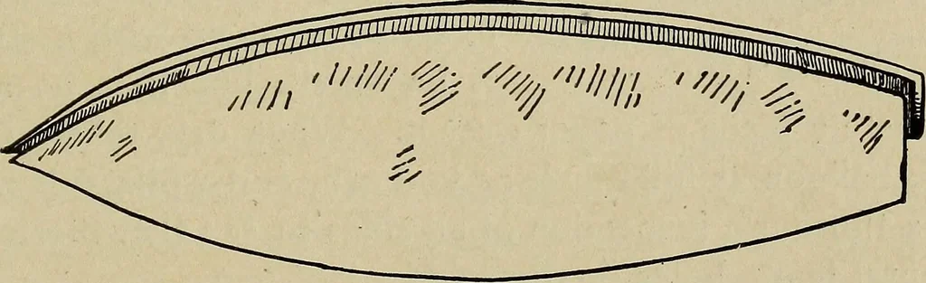 An illustration from What to do and how to do it; the American boys handy book, 1920, leaf 168