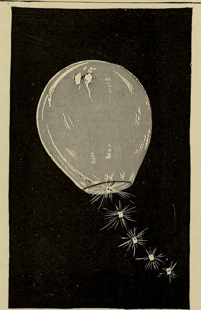 An illustration from What to do and how to do it; the American boys handy book, 1920, leaf 174
