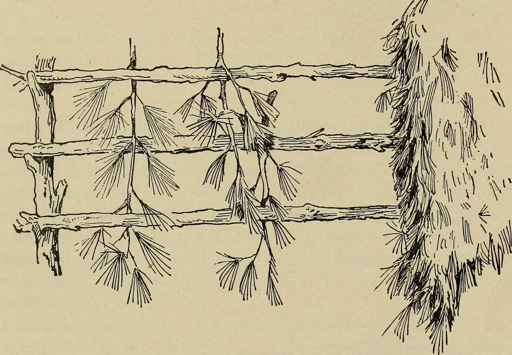 An illustration from What to do and how to do it; the American boys handy book, 1920, leaf 180