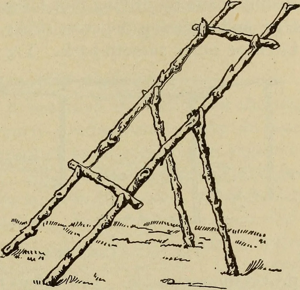 An illustration from What to do and how to do it; the American boys handy book, 1920, leaf 186