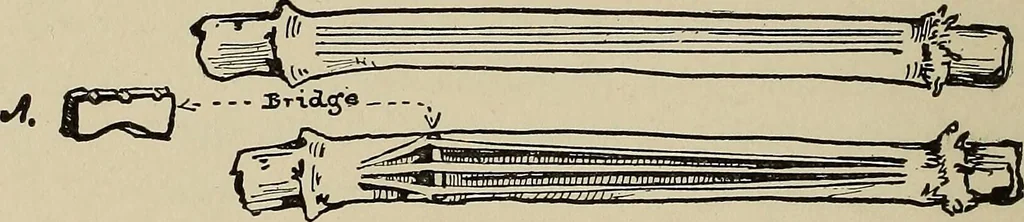 An illustration from What to do and how to do it; the American boys handy book, 1920, leaf 191