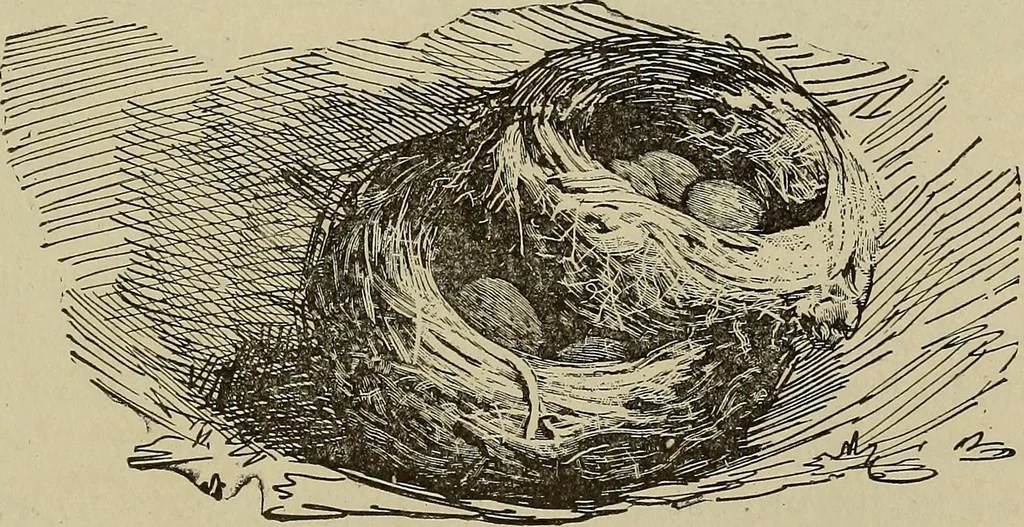 An illustration from What to do and how to do it; the American boys handy book, 1920, leaf 208