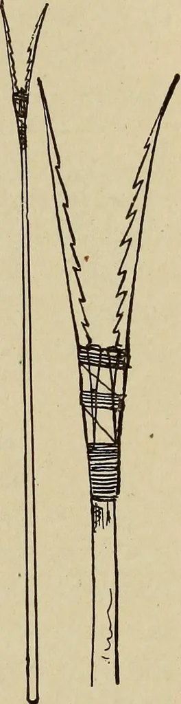 An illustration from What to do and how to do it; the American boys handy book, 1920, leaf 218