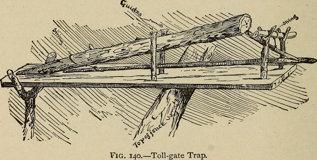 An illustration from What to do and how to do it; the American boys handy book, 1920, leaf 245