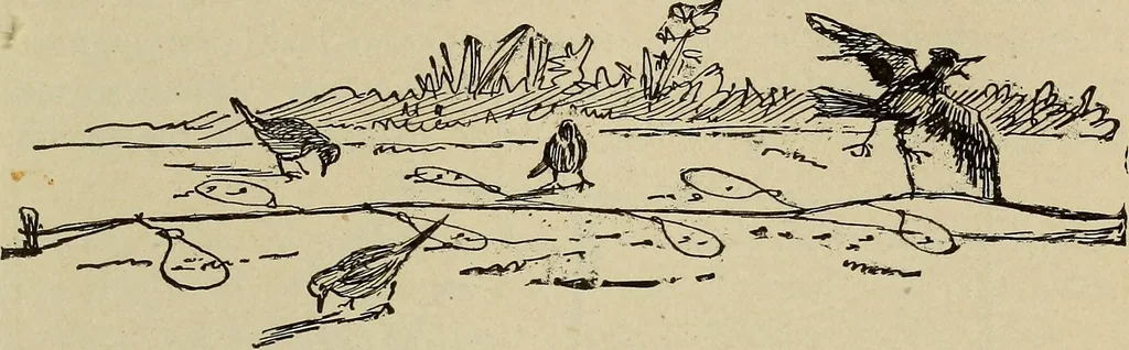 An illustration from What to do and how to do it; the American boys handy book, 1920, leaf 248