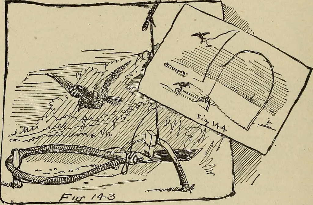 An illustration from What to do and how to do it; the American boys handy book, 1920, leaf 249