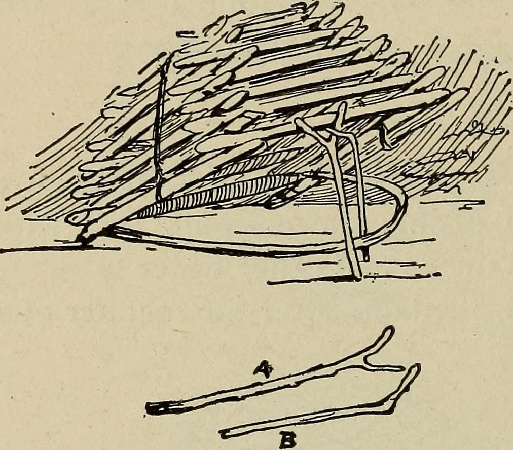 An illustration from What to do and how to do it; the American boys handy book, 1920, leaf 251
