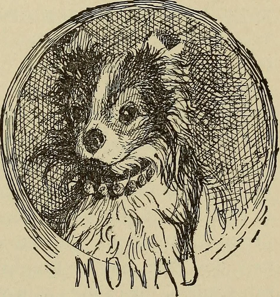 An illustration from What to do and how to do it; the American boys handy book, 1920, leaf 252