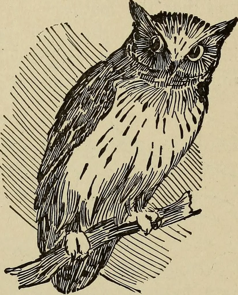 An illustration from What to do and how to do it; the American boys handy book, 1920, leaf 262