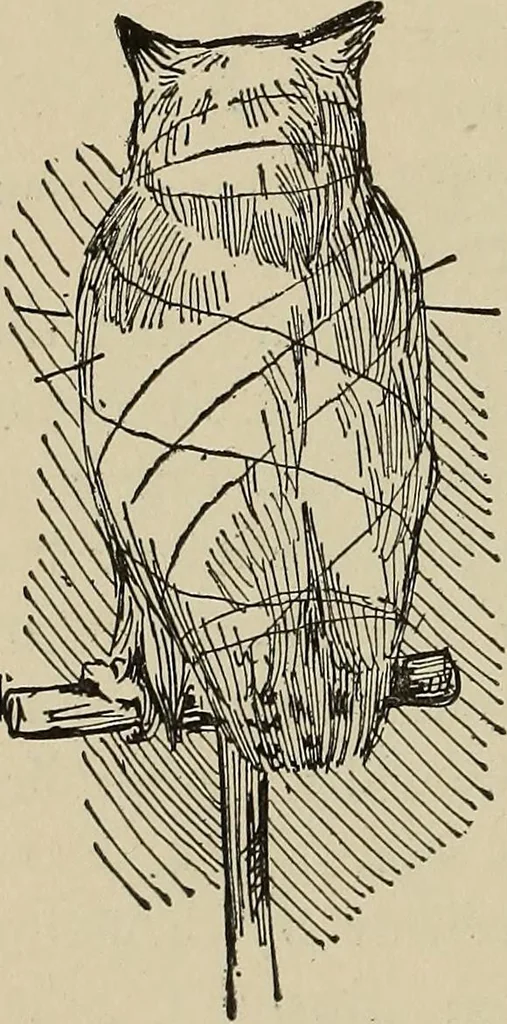 An illustration from What to do and how to do it; the American boys handy book, 1920, leaf 267