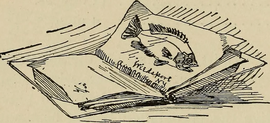 An illustration from What to do and how to do it; the American boys handy book, 1920, leaf 269
