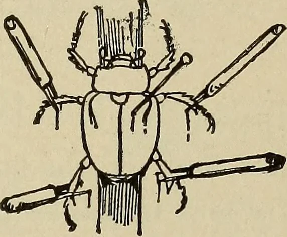 An illustration from What to do and how to do it; the American boys handy book, 1920, leaf 272