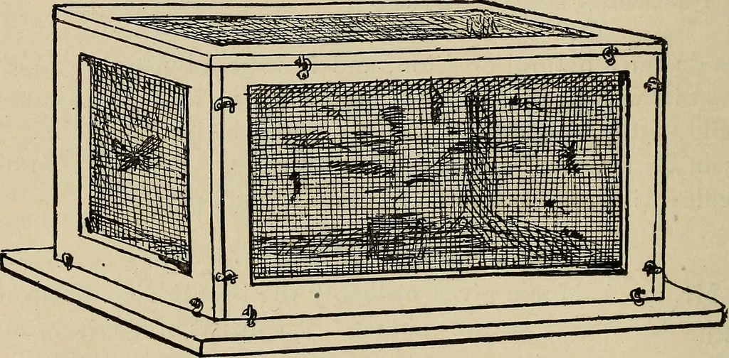 An illustration from What to do and how to do it; the American boys handy book, 1920, leaf 273