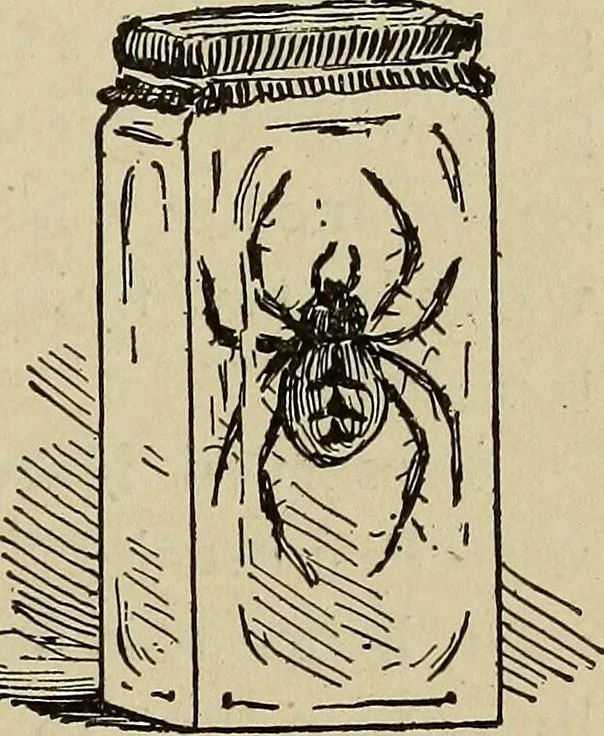 An illustration from What to do and how to do it; the American boys handy book, 1920, leaf 274